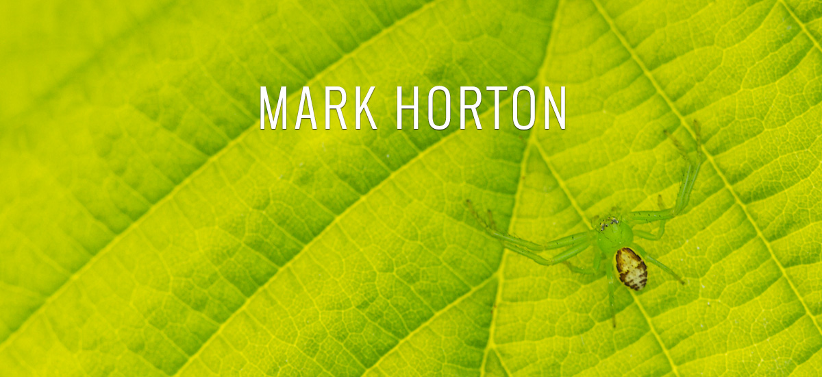 Mark Horton